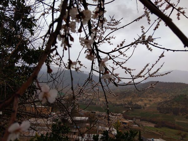  فصل بهار در میانکوه