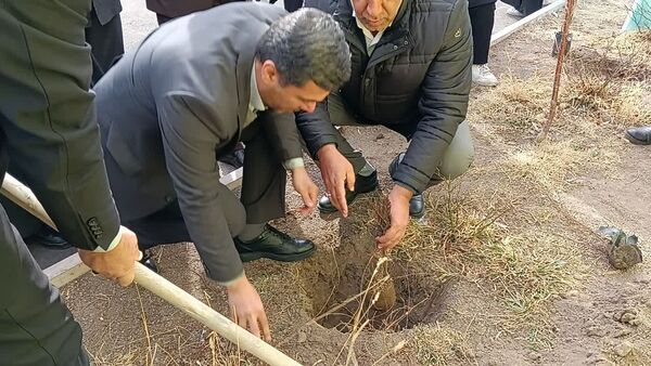 مراسم درخت‌کاری در زنجان