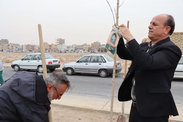 کاشت درخت به یاد شهدا در محمدشهر 