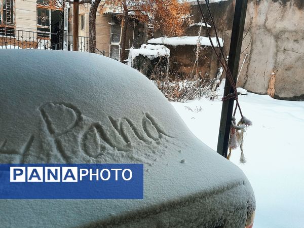 برف و بارانی همراه با شادی در شهرستان زاوه