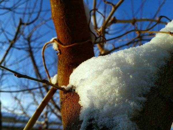 بارش برف آخرین ماه زمستان در آذربایجان شرقی