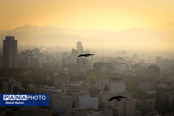 آلودگی هوای تهران