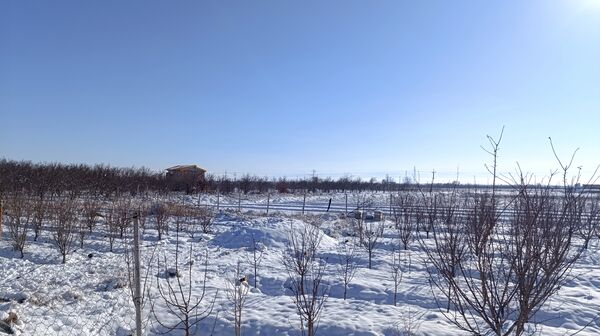 منظره زیبای برف پاییزی در باغات شهرستان نیشابور 