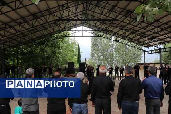 تاسوعای حسینی در روستای پیمد نور 