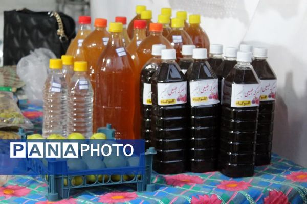 رویداد دیار علویان در گلوگاه 