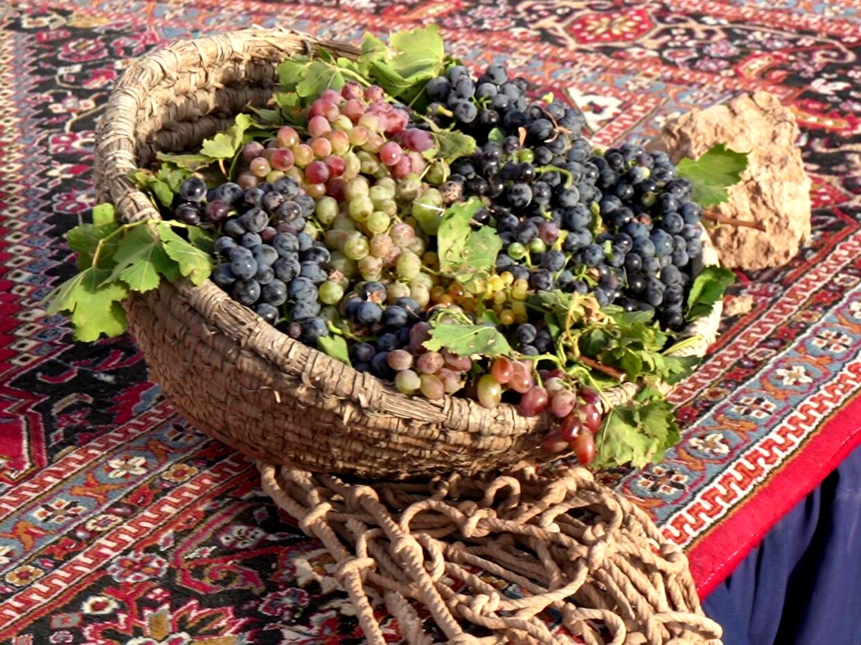 جشنواره انگور در بقعه پیر؛ روایت شیرین از توانمندی‌های بومی و آیین‌های کهن
