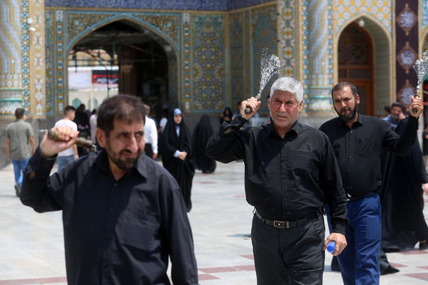 عزاداری شهادت دختر سه ساله امام حسین(ع) در قم