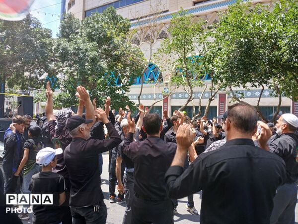 عاشورا؛ روایت دلدادگی در قاب اشک و ارادت 