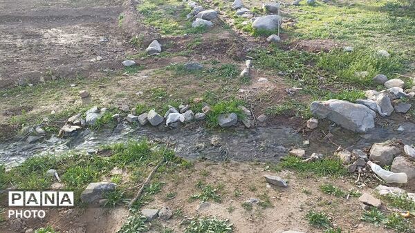 بهار در دامان طبیعت کاشمر؛ تصاویری دیدنی از کوه ها، شکوفه‌ها و سبزی فروردین