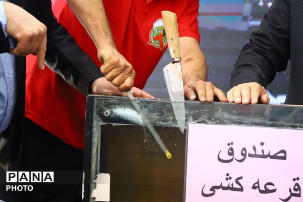جشنواره بزرگ خریداران ماهی در تبریز