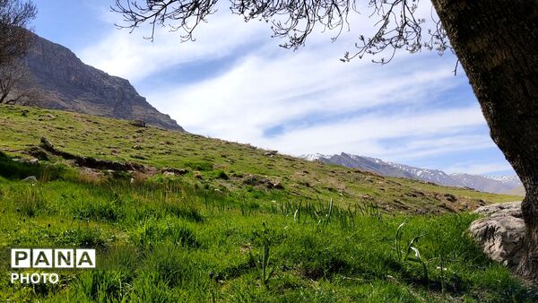بالاقلی، جایی که روحتان تازه می‌شود