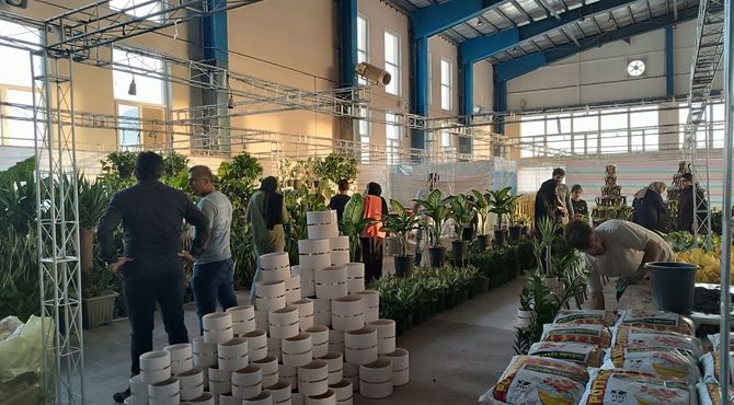 برگزاری نمایشگاه گل و گیاه در ایلام 
