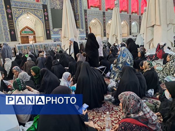 کبوتر حرم مشهد مقدس