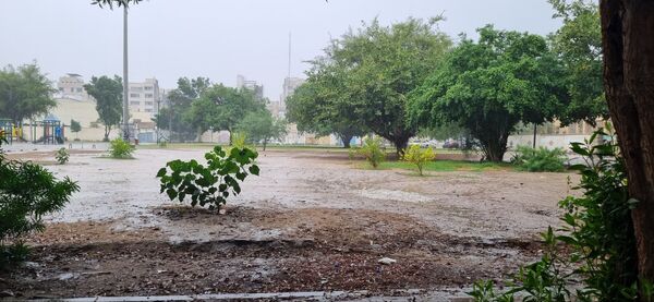 بارش باران چهره بندرعباس را پاییزی و دل‌انگیز کرد