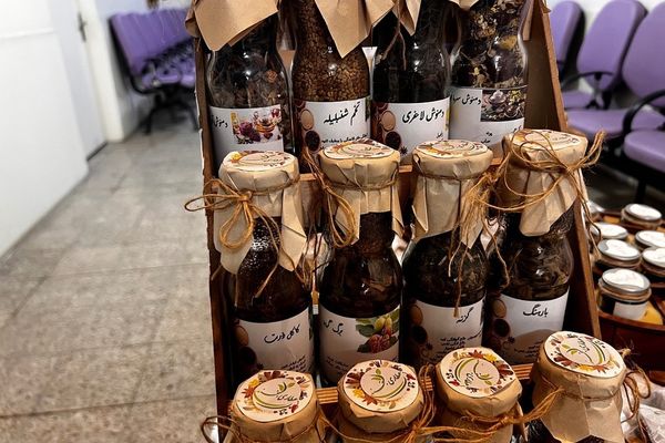 پایان کار نمایشگاه گیاهان دارویی پژوهش‌سرای کاوش کهریزک 