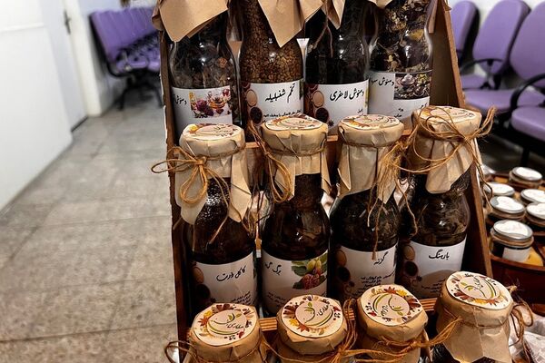 پایان کار نمایشگاه گیاهان دارویی پژوهش‌سرای کاوش کهریزک 