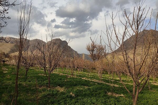 رویداد آیین باستانی سیزده بدر نیشابور در روز طبیعت از  قاب خبرنگاران پانا