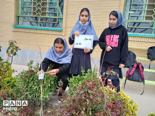 درختی برای زندگی؛ یادواره‌ای برای شهدا