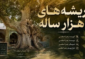 چنار کهنسال مسجد باغوار؛ میراثی زنده از تاریخ تویسرکان