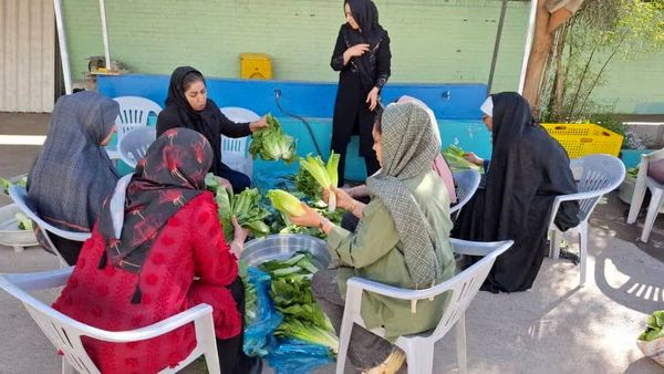 برگزاری جشنوارهٔ کاهو و سکنجبین در دبستان پسرانهٔ پاسداران یزد