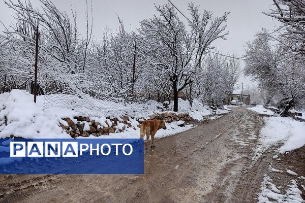 آسمان سخاوتمندانه نعمتش را در ماه شعبان به زمین شهر بار هدیه کرد