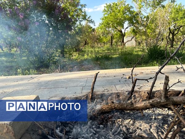 طبیعت هم با آمدن بهار زیبا شد 