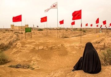 پرستو‌های خسته‌ای بودیم که از همنشینی با شهدا وجودمان آرام شد