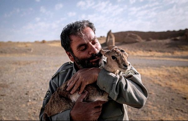 شکار غیرمجاز تهدید جدی برای حیات‌وحش ساوجبلاغ است