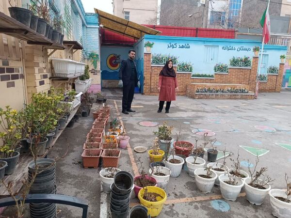 آغاز بهار جوانه سبز سلامتی
