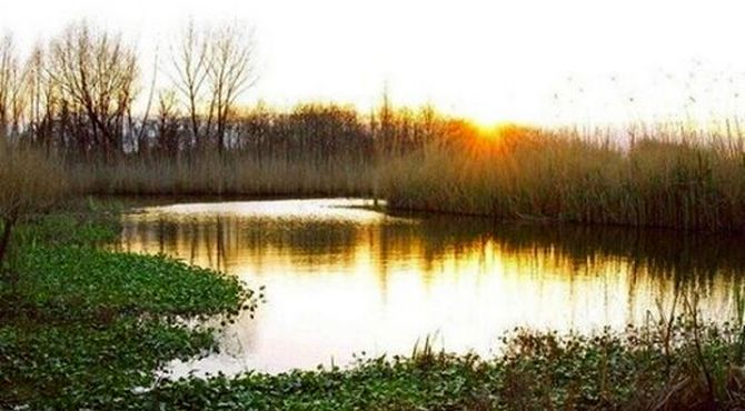 بارش‌های گیلان به دادِ تالاب انزلی رسید