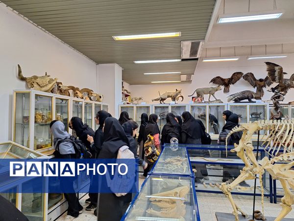 بازدید دانش‌آموزان از موزه زمین شناسی و جانور شناسی دانشگاه فردوسی مشهد