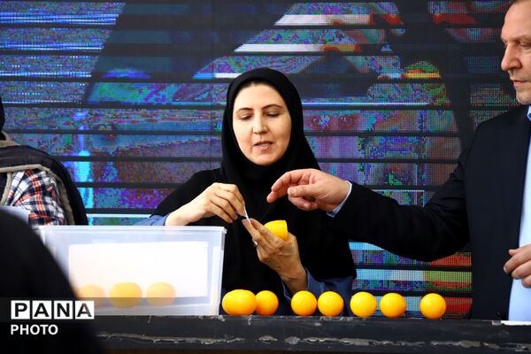 جشنواره بزرگ خریداران ماهی در تبریز