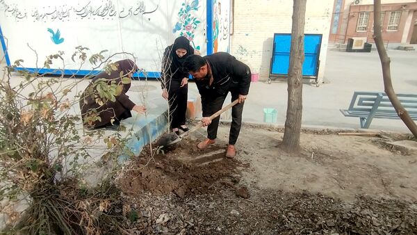کاشت درخت در هنرستان بصیرت آشخانه