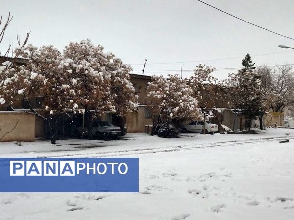 بارش برف در شهرستان تربت جام
