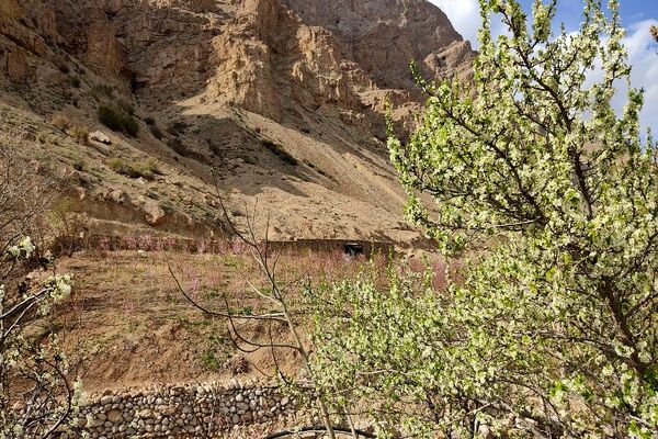 شهر بار نگین سبز خراسان رضوی میزبان فصل بهار 