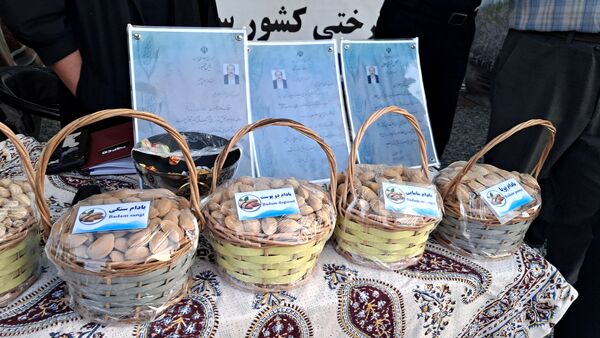شکوفایی طعم و فرهنگ در سامان؛ دومین جشنواره بادام و گردو 