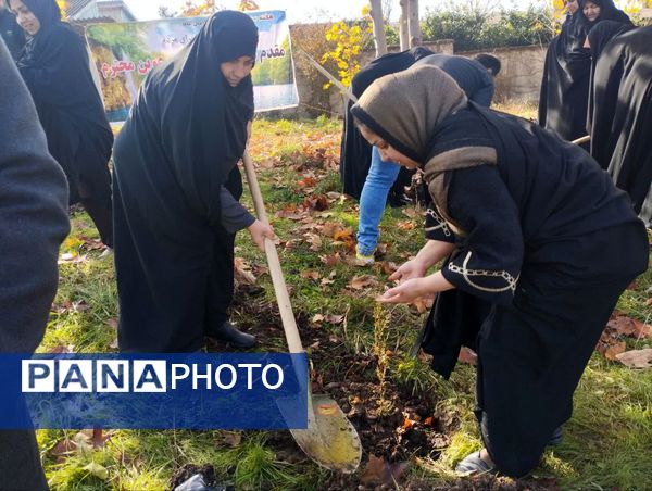 پویش سراسری کاشت نهال در سایه مادر همزمان با ایام ولادت حضرت زهرا (س) در میاندورود 