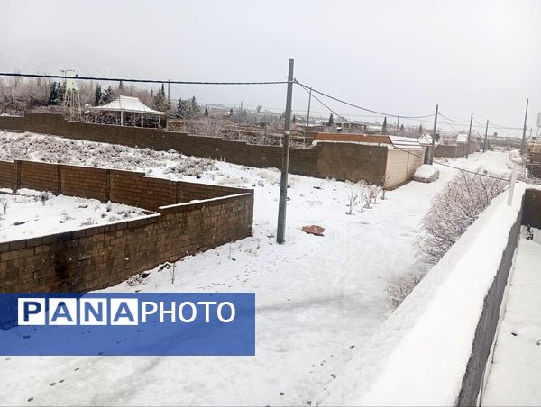 صبحی که خورشید جایش را به برف داد