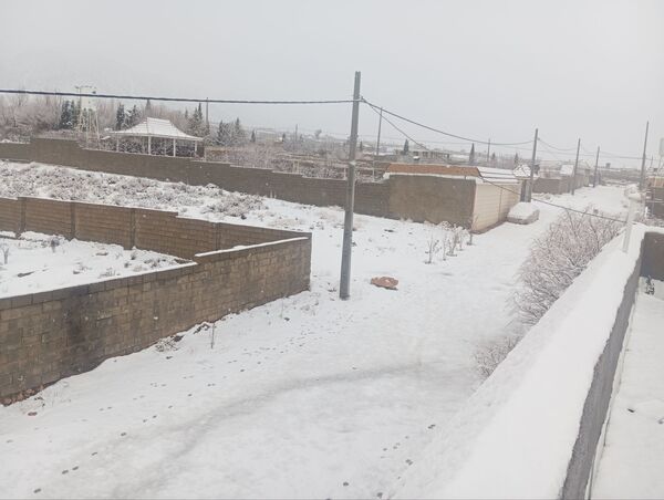 صبحی که خورشید جایش را به برف داد