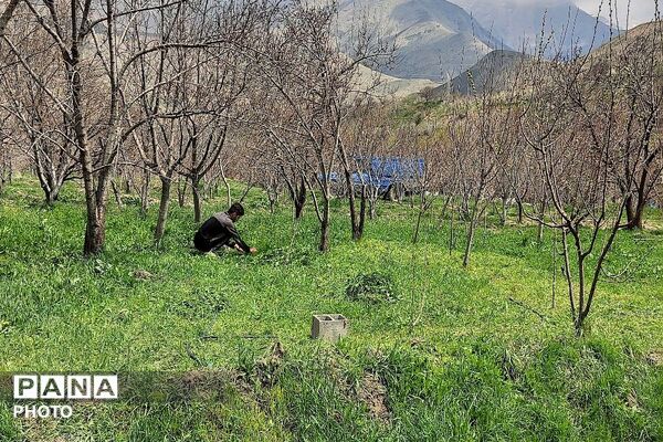 سیزده بدر روز طبیعت ۱۴۰۵در شهر بار نیشابور 