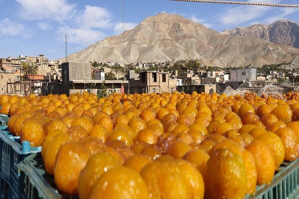 فصل زیبای پاییز در شهر بار نیشابور 