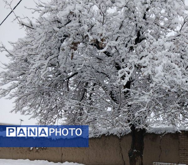 بارش دل‌انگیز برف‌ در اولین روزهای بهمن ماه