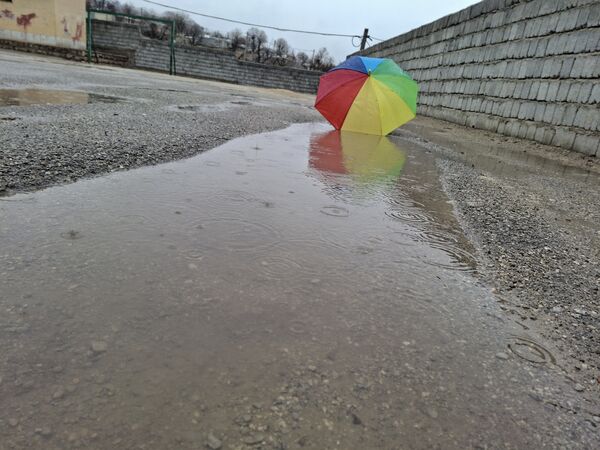 جلوه زیبای باران زمستانی در دبیرستان سبحان و مائده شلیل