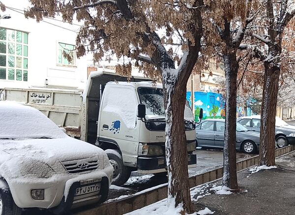 بارش دل‌انگیز برف‌ در اولین روزهای بهمن ماه