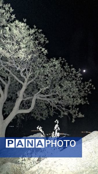 ماه در نقاب سایه زمین 