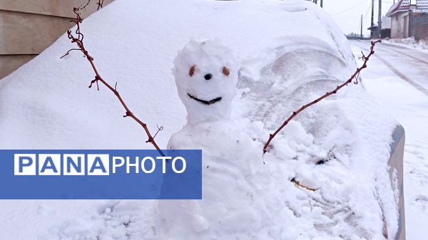 صبحی که خورشید جایش را به برف داد