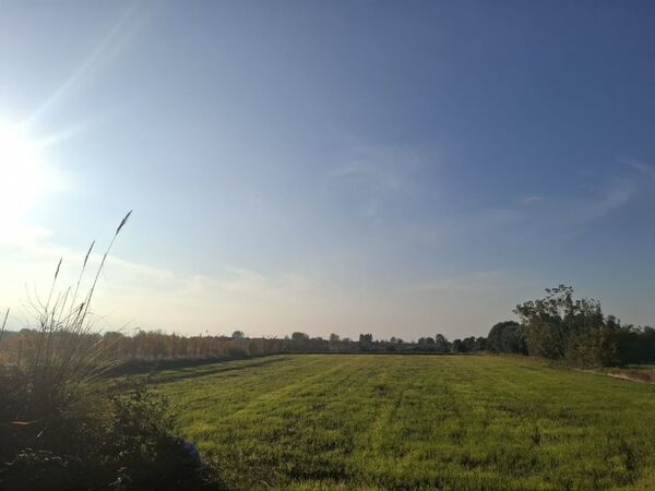 جنگل‌های هیرکانی کردکوی