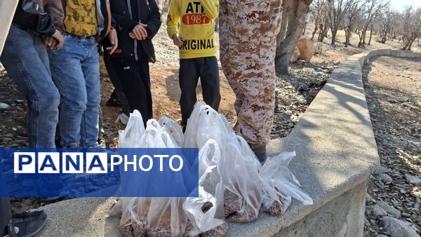 طرح سفیران سبز کانون پرورش فکری کهگیلویه و بویراحمد