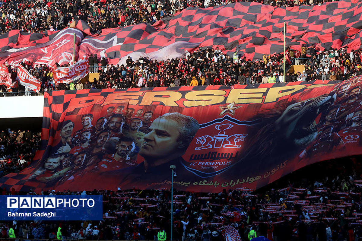 نشست کمیته ملی المپیک و وزارت ورزش با "موی تای، کشتی، ورزش‌های آبی و هندبال"