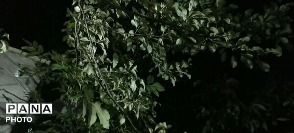 حال و هوای دل‌انگیز روستای مایان در آخرین ماه تابستان